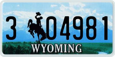 WY license plate 304981
