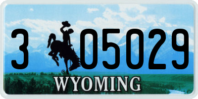 WY license plate 305029