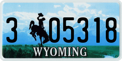 WY license plate 305318