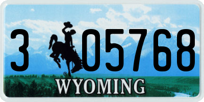 WY license plate 305768