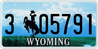 WY license plate 305791