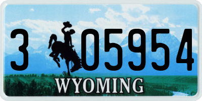WY license plate 305954