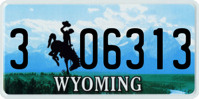 WY license plate 306313