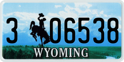 WY license plate 306538