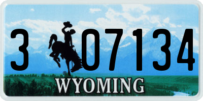 WY license plate 307134