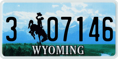 WY license plate 307146