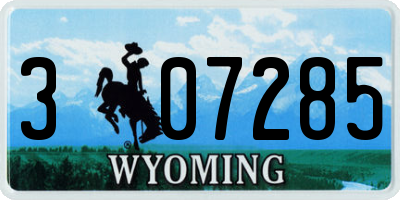 WY license plate 307285