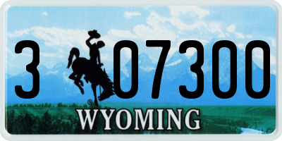 WY license plate 307300