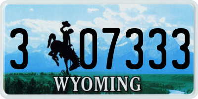 WY license plate 307333