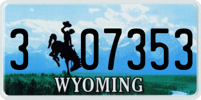 WY license plate 307353