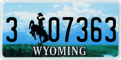 WY license plate 307363