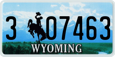 WY license plate 307463