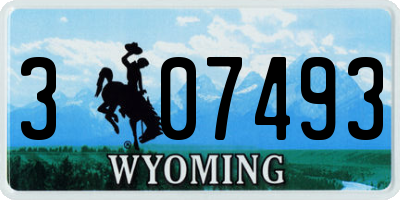 WY license plate 307493