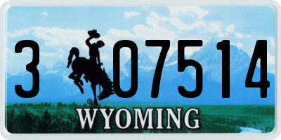 WY license plate 307514