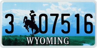 WY license plate 307516