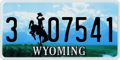 WY license plate 307541
