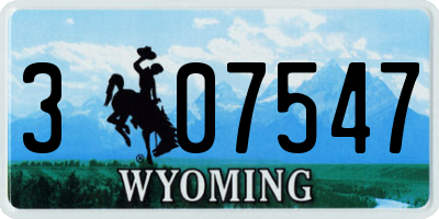 WY license plate 307547