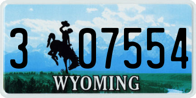 WY license plate 307554