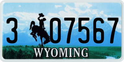 WY license plate 307567