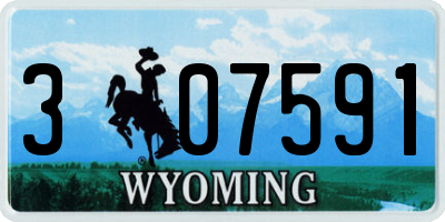 WY license plate 307591