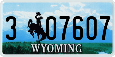 WY license plate 307607