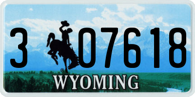 WY license plate 307618