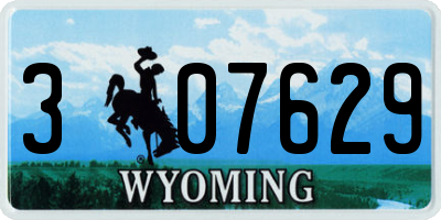 WY license plate 307629