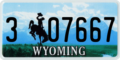 WY license plate 307667