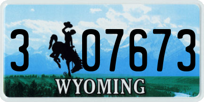 WY license plate 307673