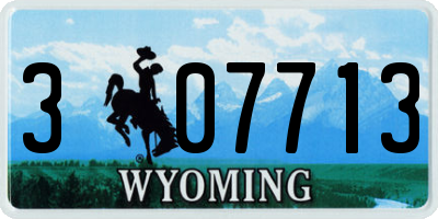 WY license plate 307713