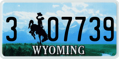 WY license plate 307739