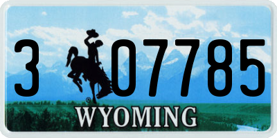 WY license plate 307785