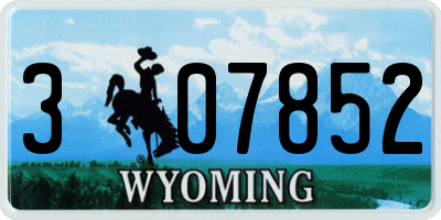 WY license plate 307852