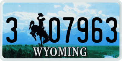 WY license plate 307963
