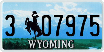 WY license plate 307975