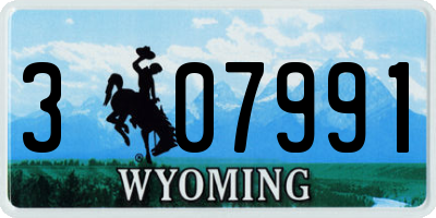 WY license plate 307991