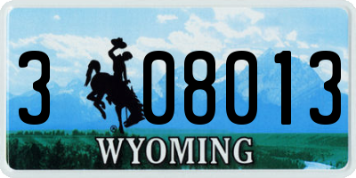 WY license plate 308013
