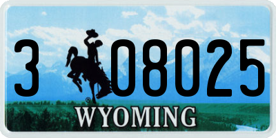 WY license plate 308025