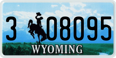 WY license plate 308095