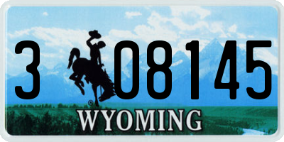 WY license plate 308145