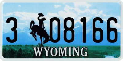 WY license plate 308166