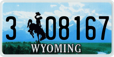 WY license plate 308167