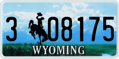 WY license plate 308175