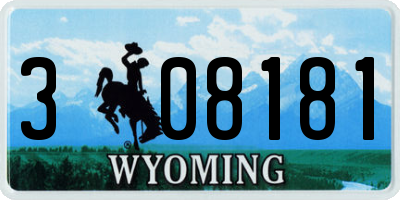 WY license plate 308181