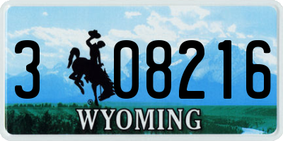 WY license plate 308216