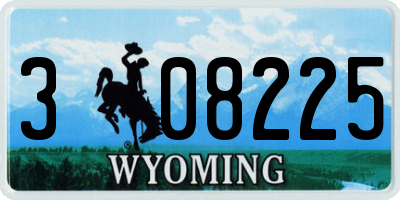 WY license plate 308225