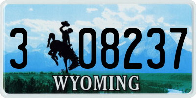 WY license plate 308237