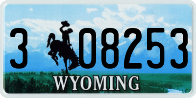 WY license plate 308253