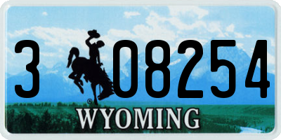 WY license plate 308254