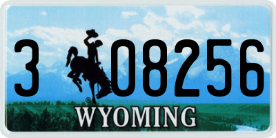 WY license plate 308256